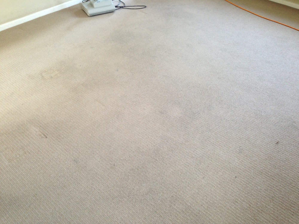 lounge carpet before cleaning