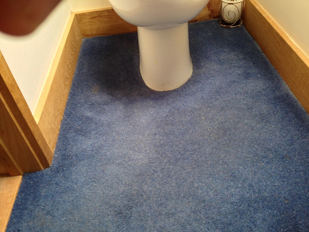 toilet carpet before