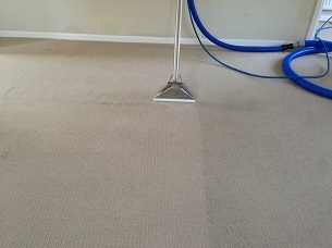 carpet cleaning during