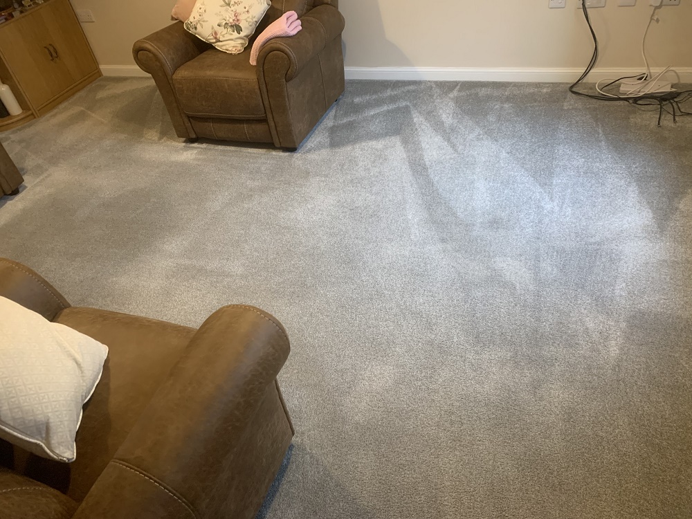 after deep carpet cleaning