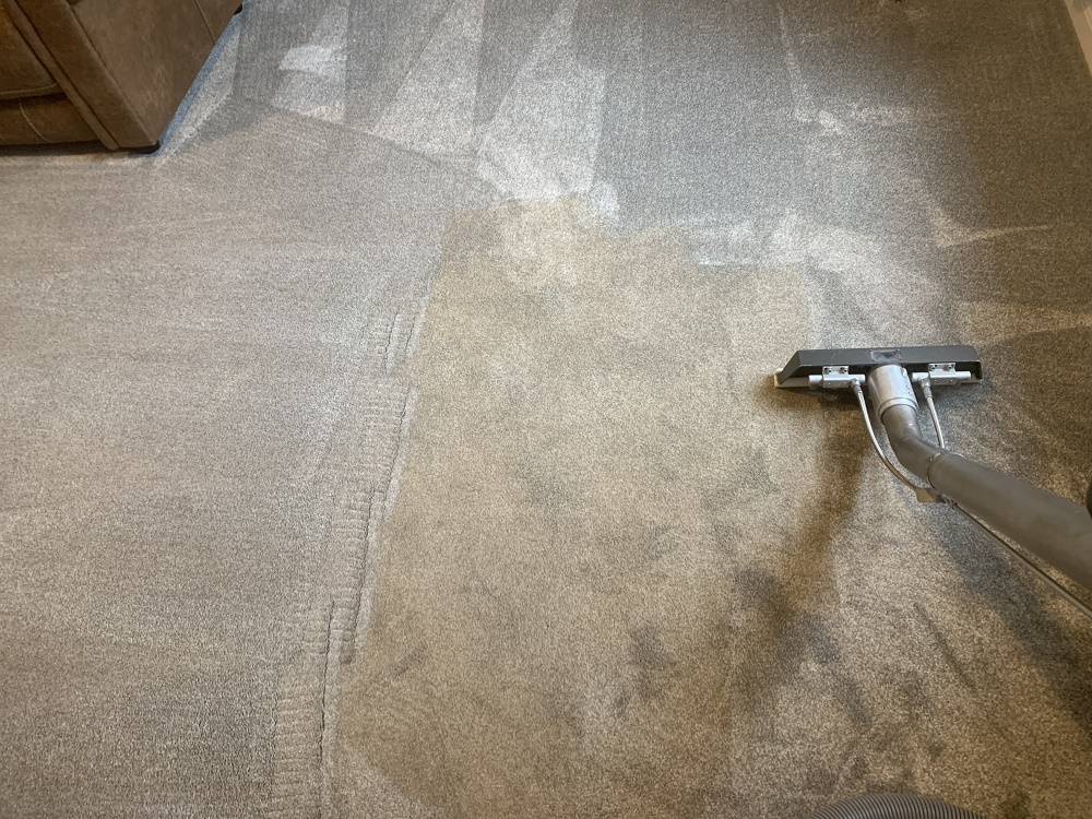 during deep carpet cleaning