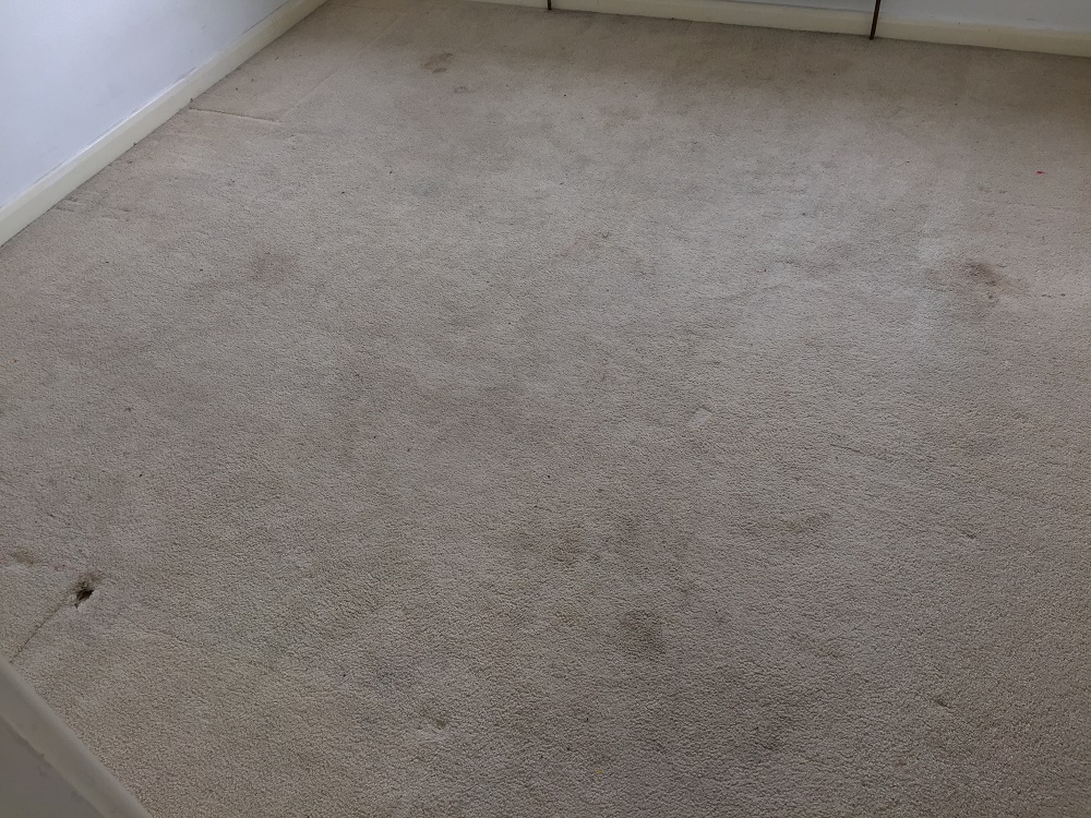 wool berber carpet before cleaning