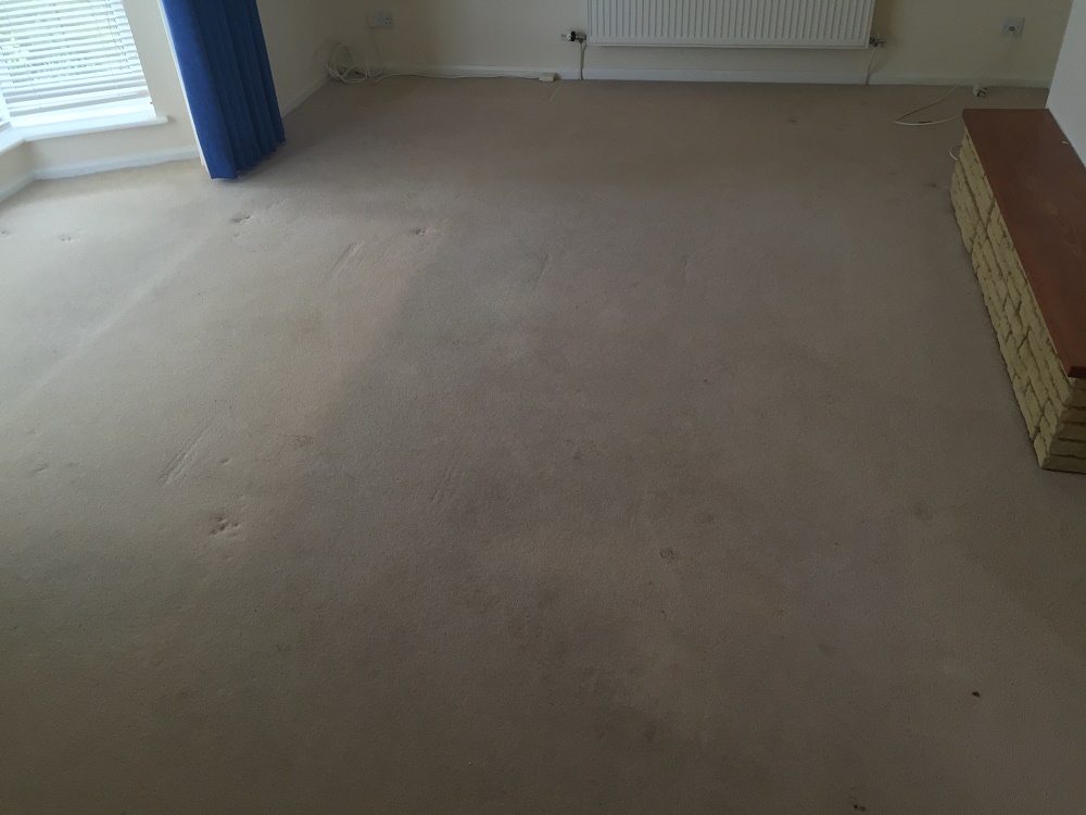 wool berber carpet before cleaning