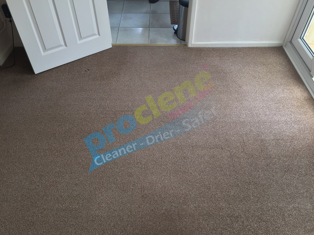 wool berber carpet before cleaning