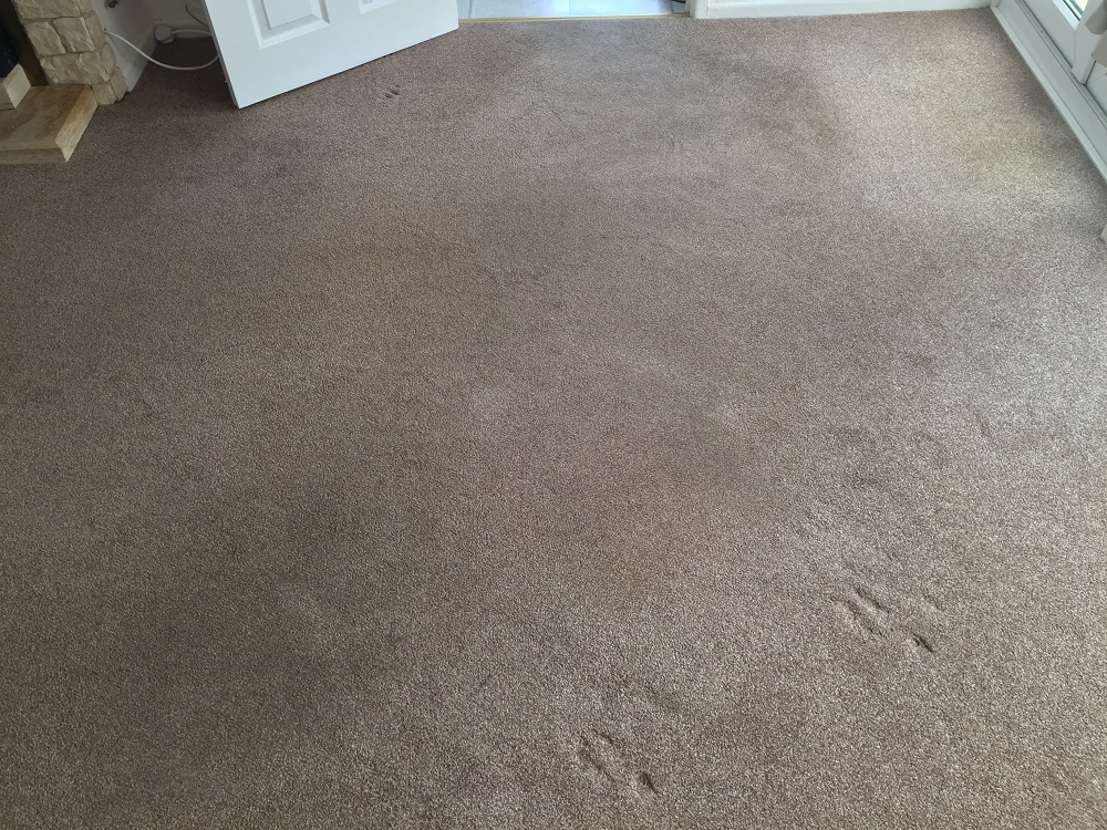 wool berber carpet before cleaning