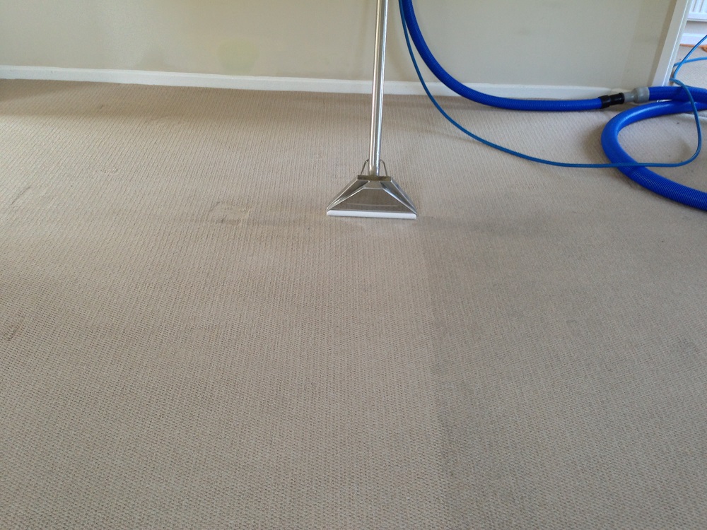 lounge carpet during cleaning