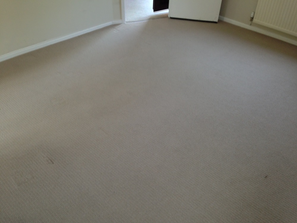 lounge carpet after cleaning