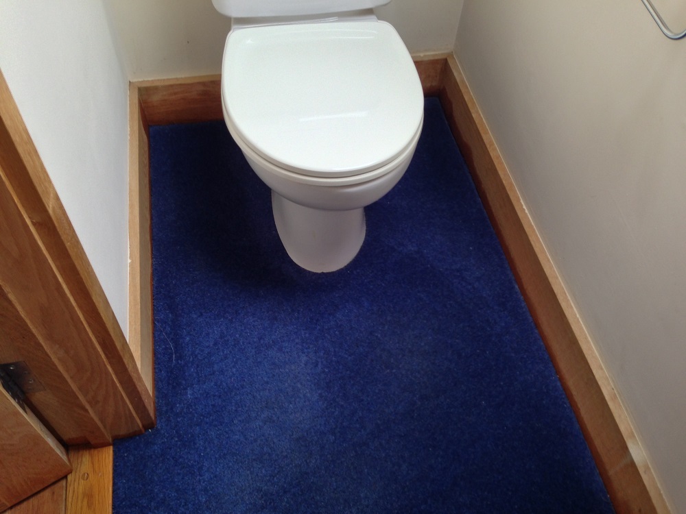 toilet carpet after cleaning
