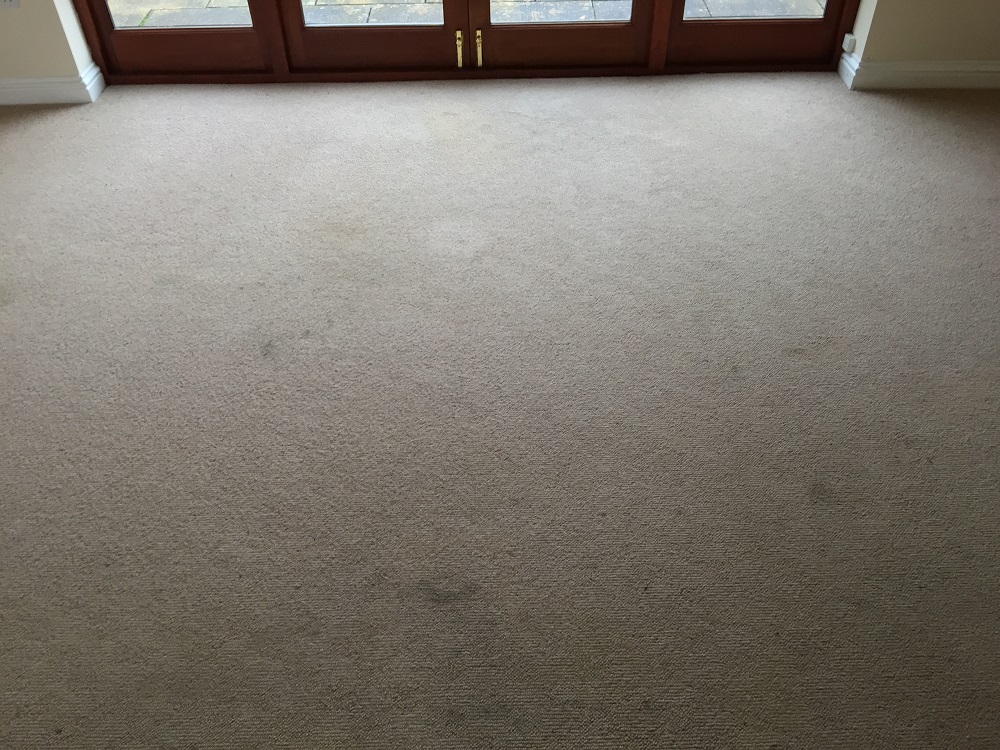 wool berber spots and stains