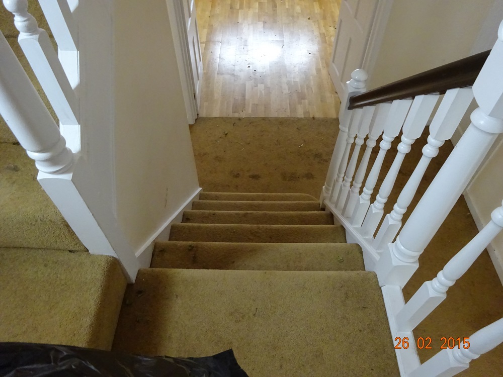Stair Carpet before cleaning