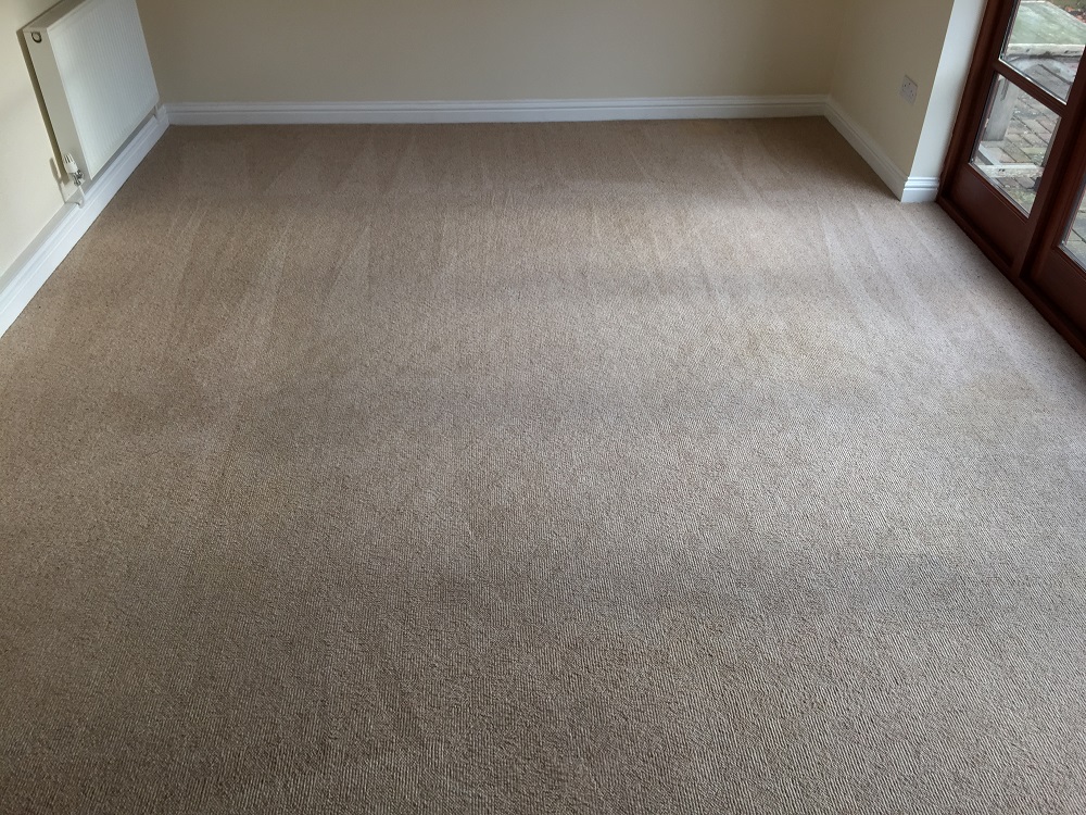 wool berber carpet after cleaning