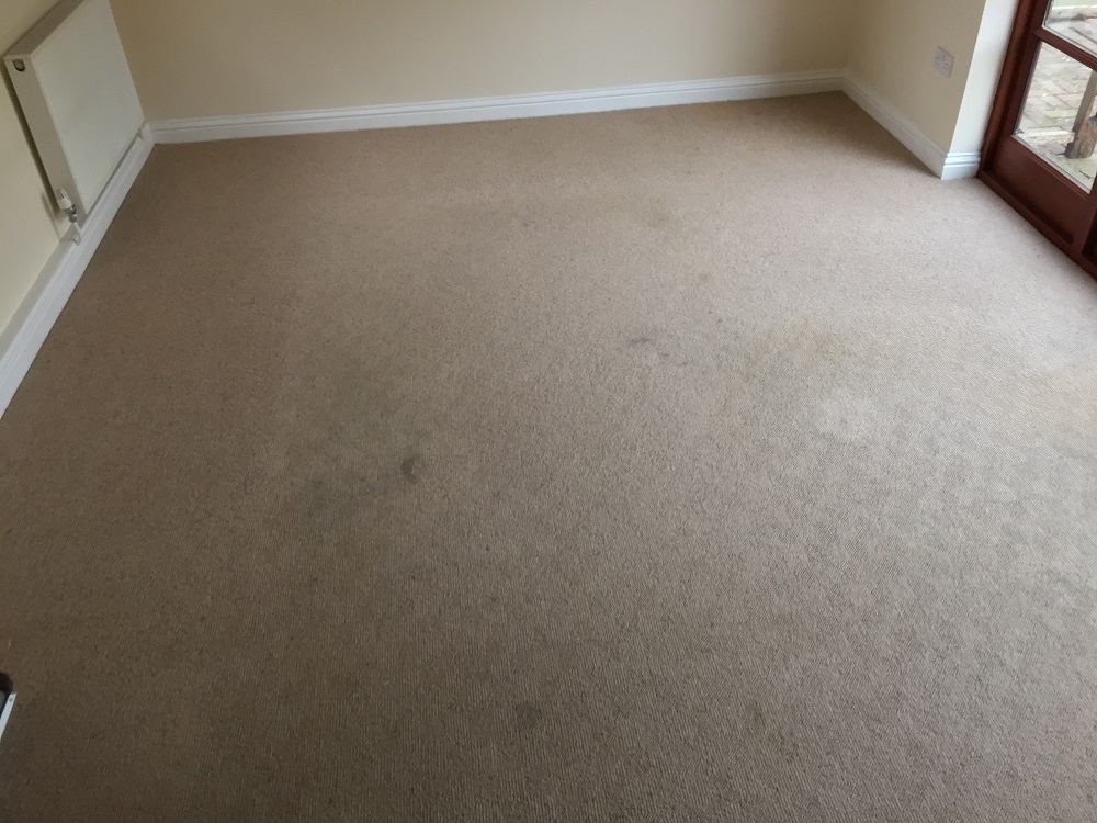 wool berber carpet before cleaning