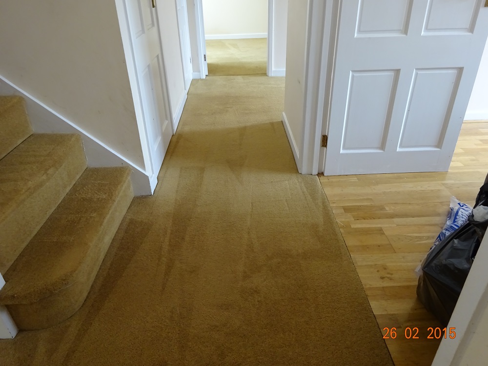 hallway - Wool carpet cleaning after