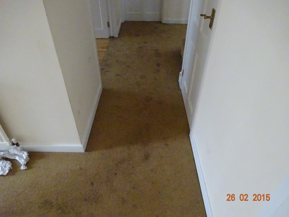 hallway - Wool carpet before cleaning