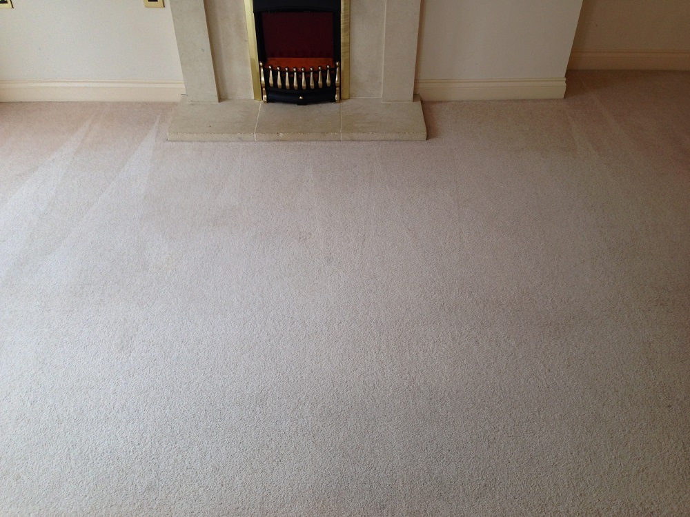 carpet after cleaning