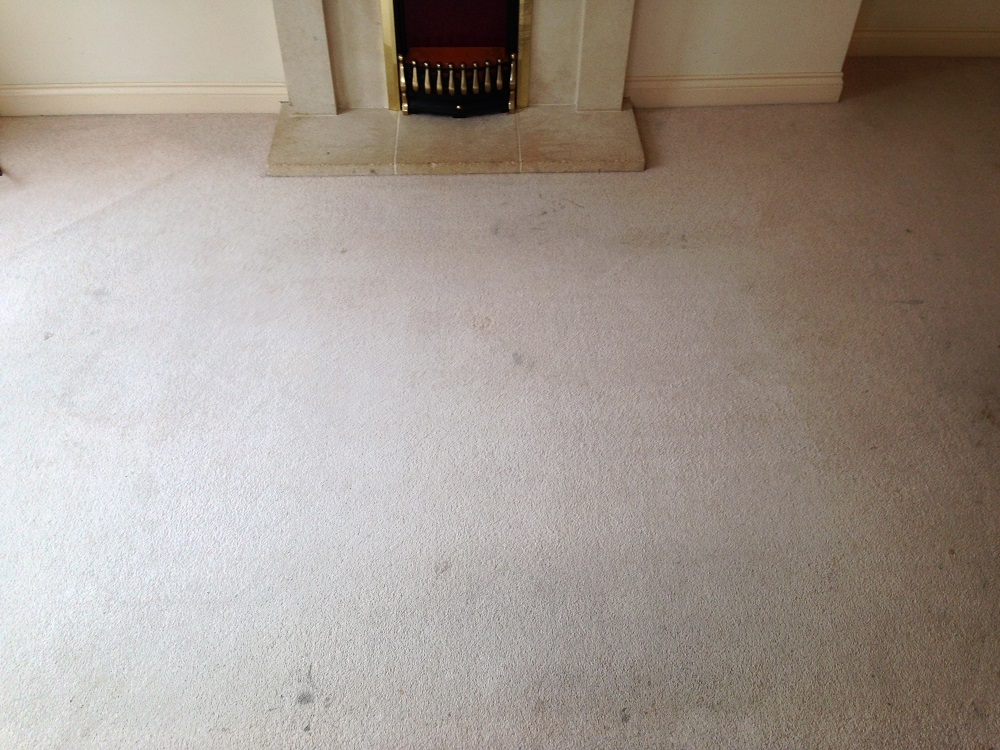 carpets before cleaning