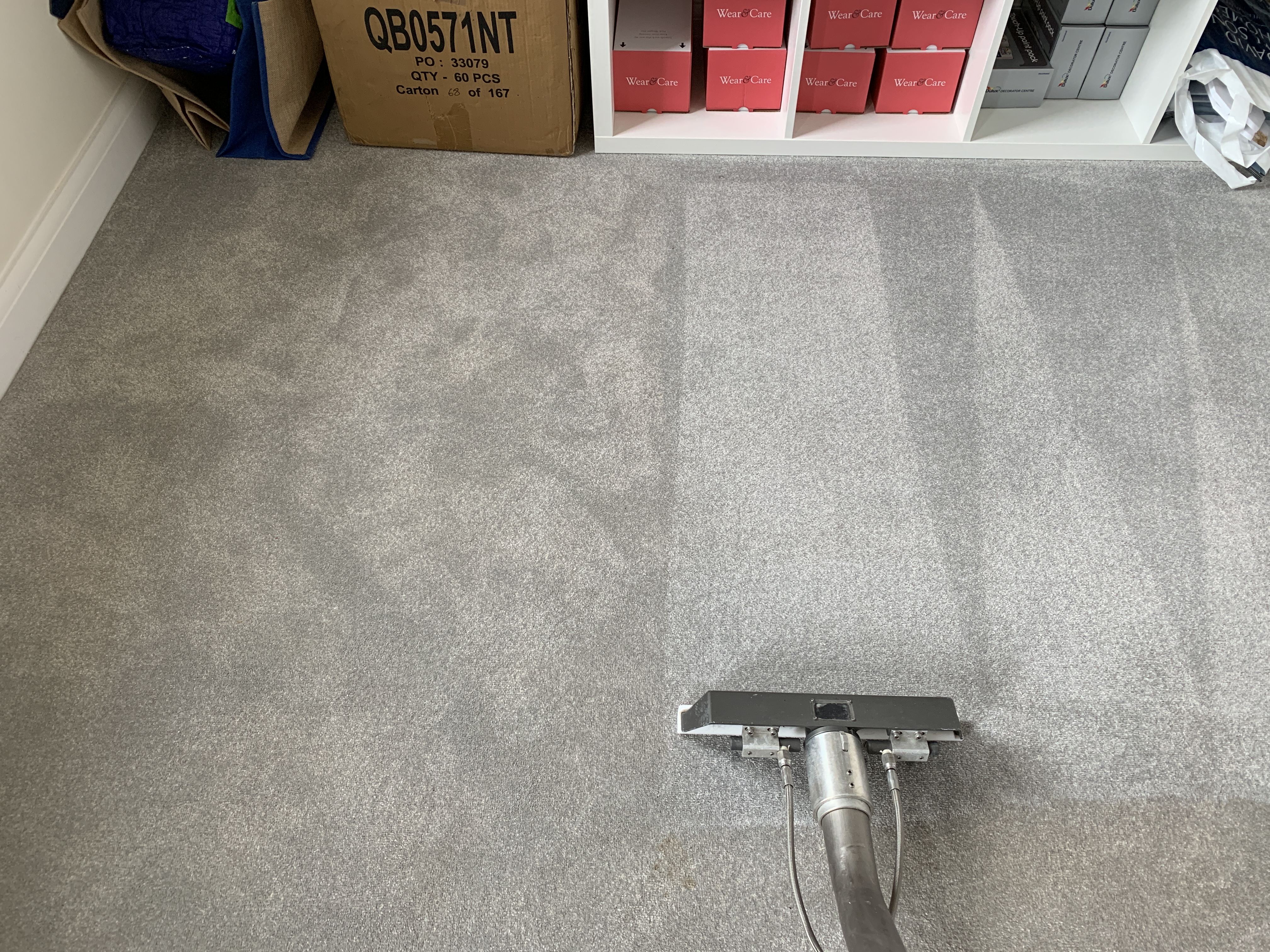 image of carpet being cleaned