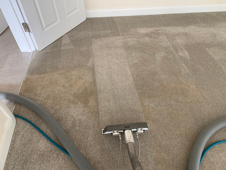 a partly cleaned carpet